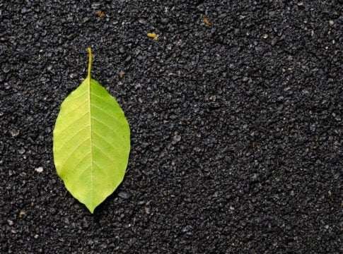 US Biochar Firm and Singapore Asphalt Producer Test Carbon-Sequestering Roads