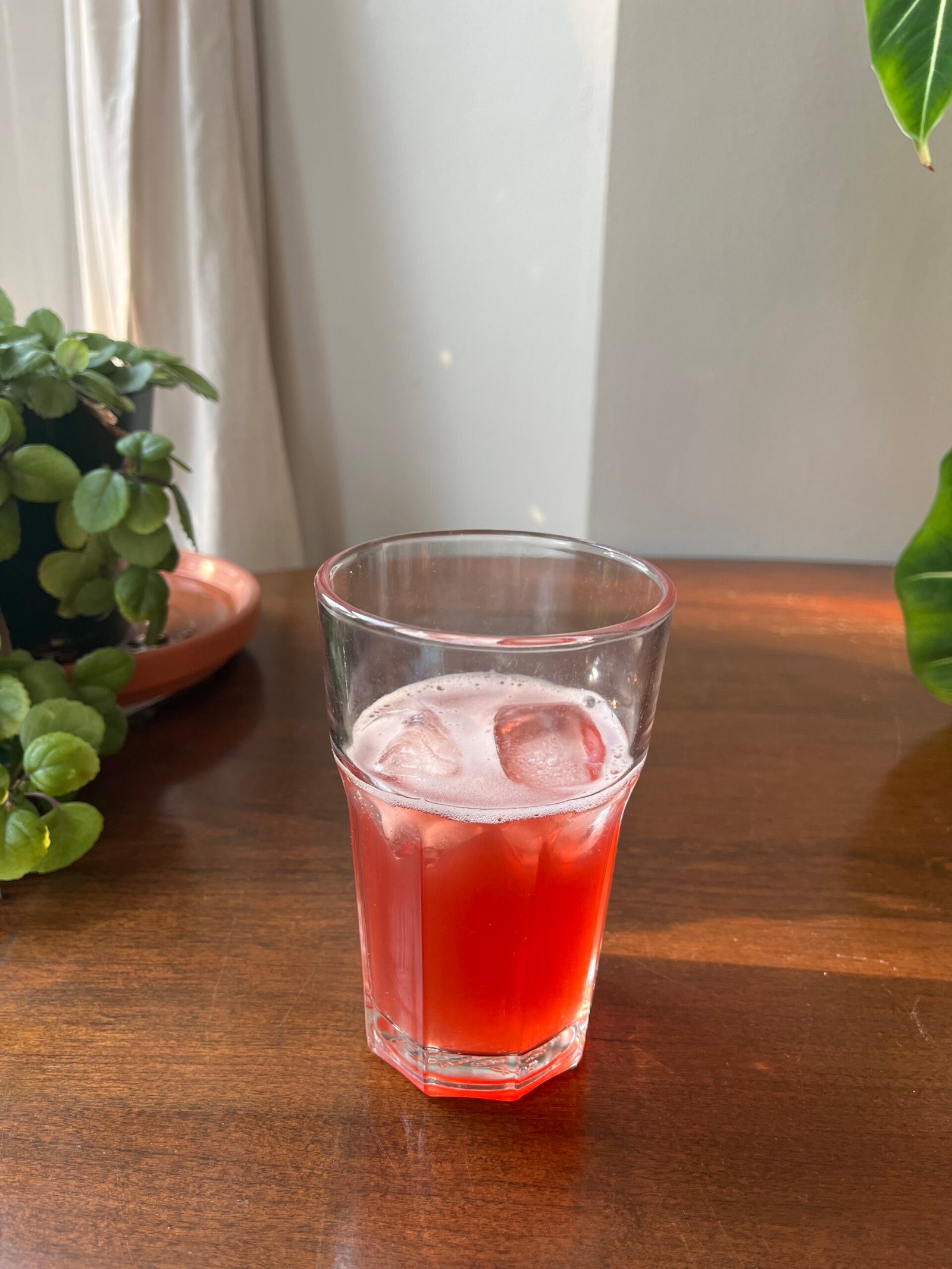 A glass of red beverage with ice on a wooden table, next to a plant in a pink pot and a large green leaf.