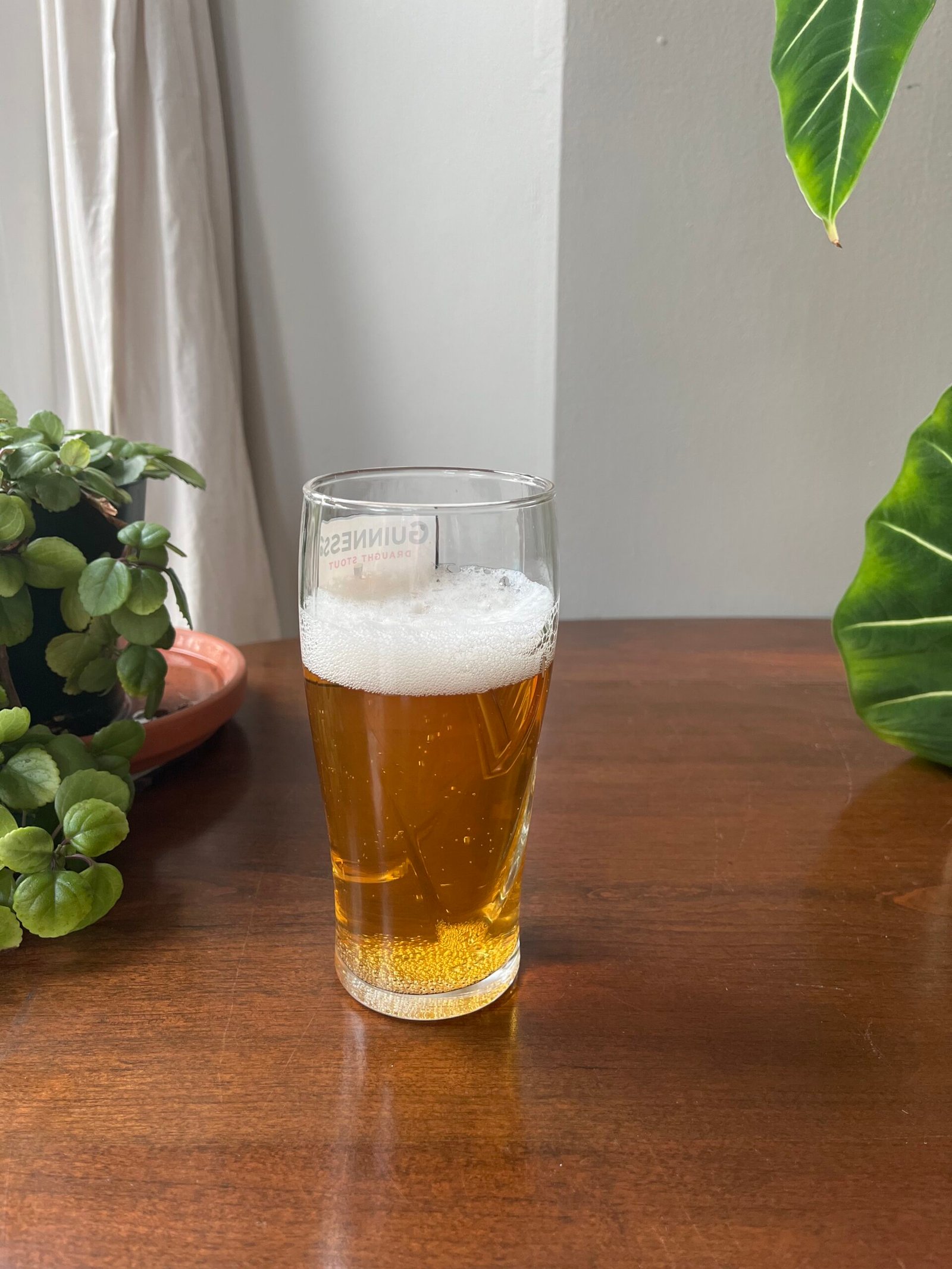 A partially filled glass of beer sits on a wooden table, surrounded by green potted plants.