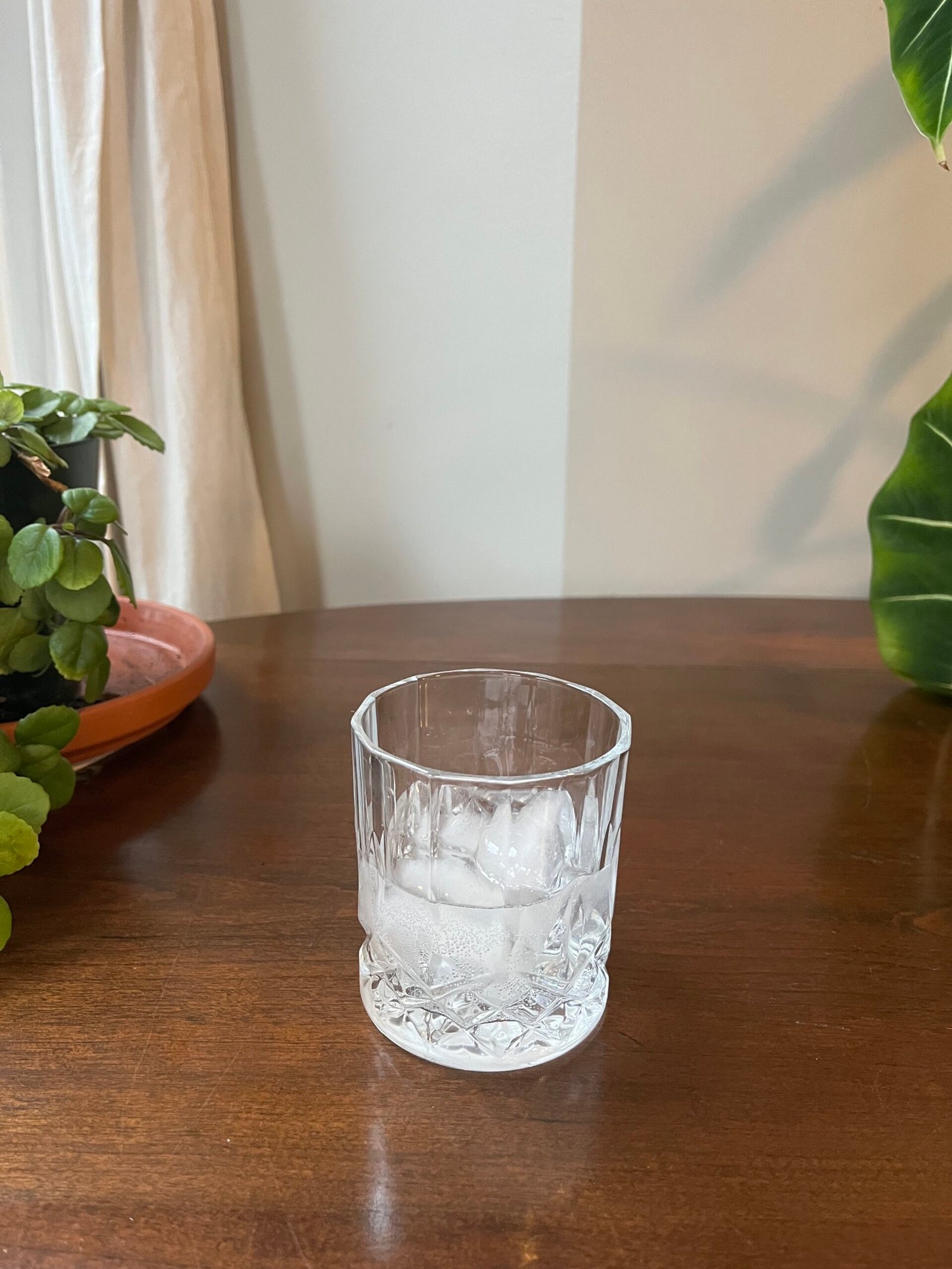 A glass with ice cubes sits on a wooden surface, surrounded by green potted plants.