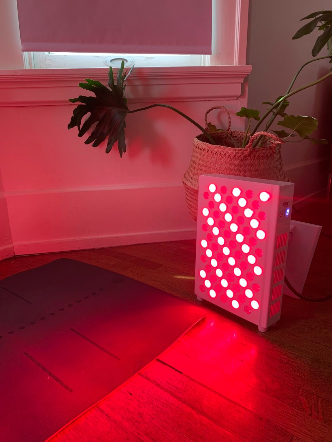 A red light therapy panel emits red light onto a mat on a wooden floor, next to a potted plant by a window.