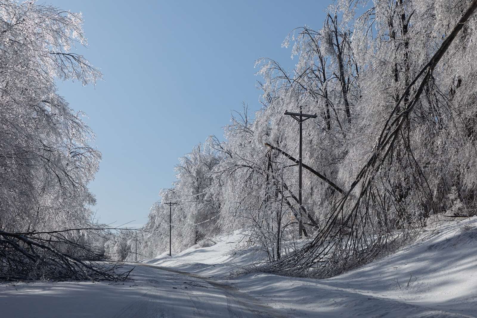 Ice covered trees and broken utility lines along a snow covered road.