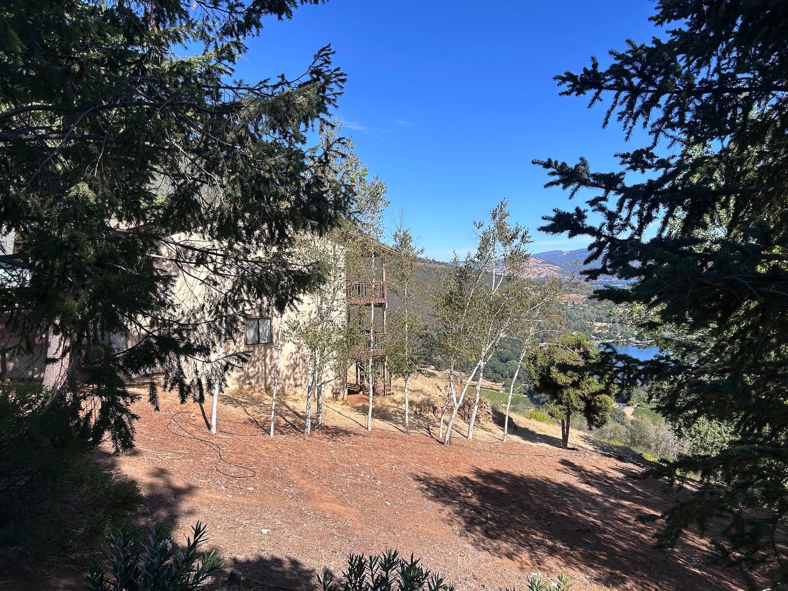 a mitigated property with shrubs removed from a hillside near a house