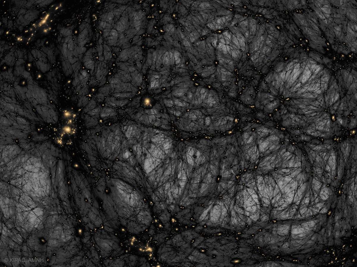 The picture shows a computer simulation of the matter distribution in our universe with dark matter shown in a dark color on a light background. Please see the explanation for more detailed information.