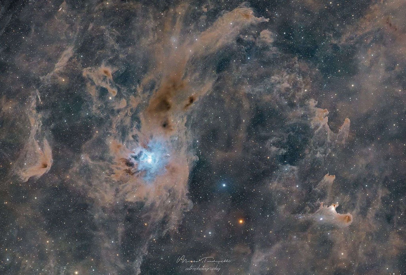 Interstellar dust clouds and dark nebulae in the Cepheus molecular cloud.