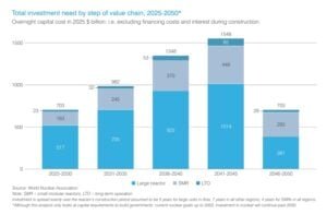 NUCLEAR INVESTMENT