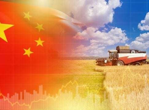 China’s Farmland Could Remove 350 Million Tonnes of CO₂ a Year, Study Finds