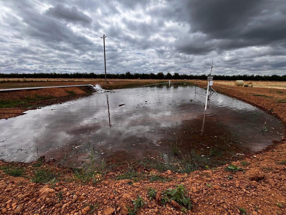 Campo inundado para recargar el acuífero en UC Merced.