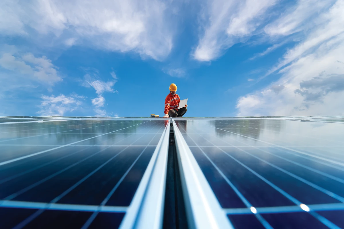 Rows of photovoltaic solar panels installed in a solar energy array