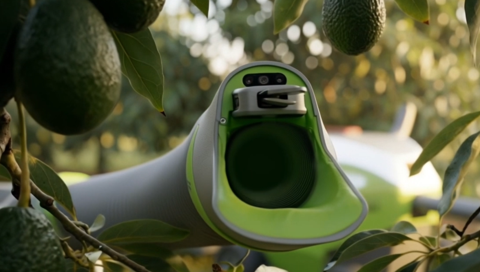 Yossi Rosenblum: "There's no gripper. We just approach the fruit, cut the stem, and let the fruit roll through the [hollow] arm." Image credit: Picker Robotics