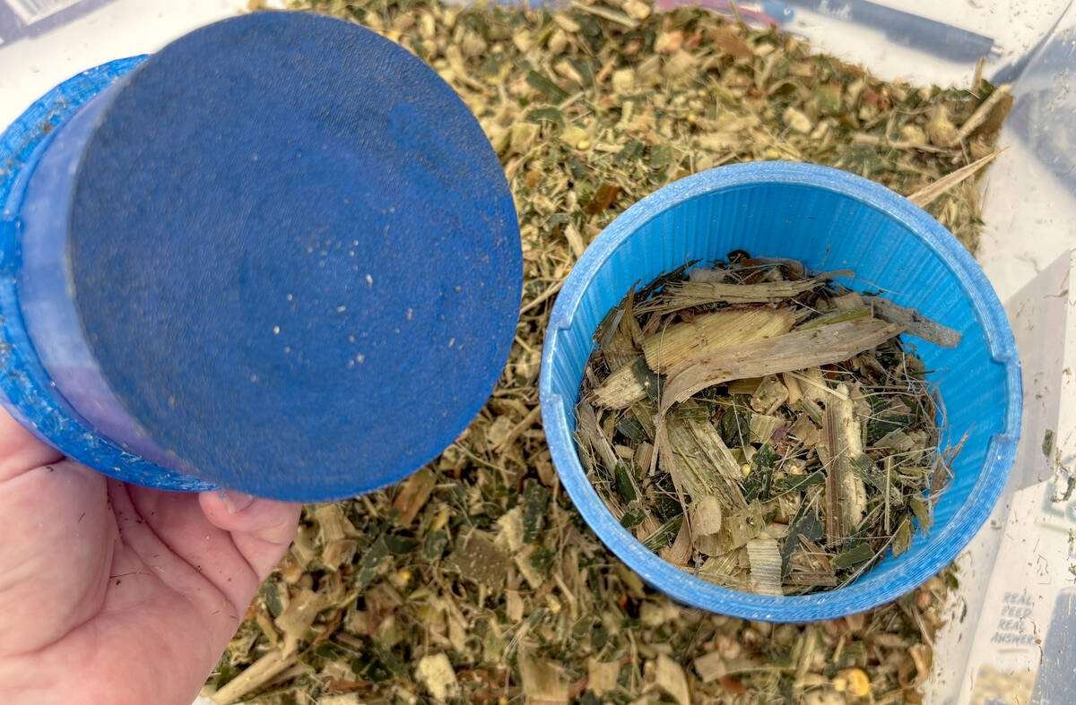 GrAIn Data’s Feed Pro prototype provides accurate silage and TMR moisture measurements in three seconds, increasing feeding ration accuracy in a fraction of the time of current methods. Photo: Diana Martin