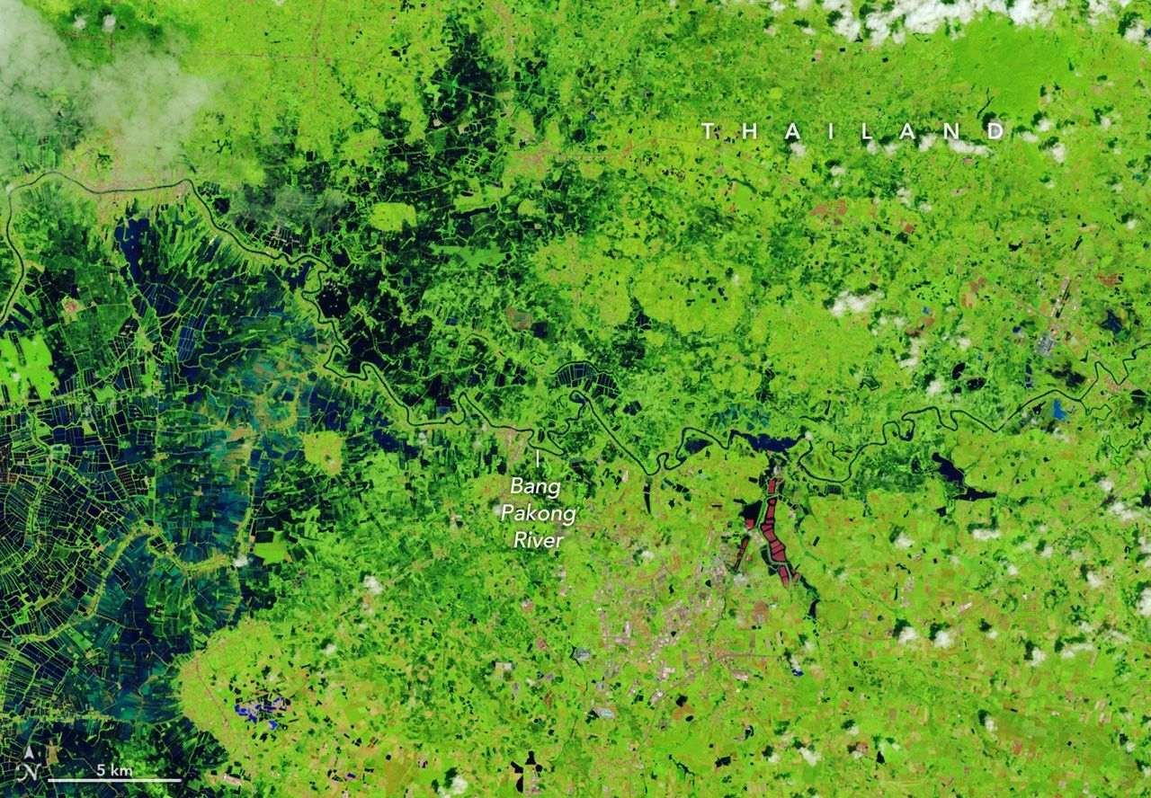 A narrow river (dark blue) meanders across vegetated land (bright green) in a false-color satellite image. Small geometric ponds or waterlogged fields appear on the left side of the scene.