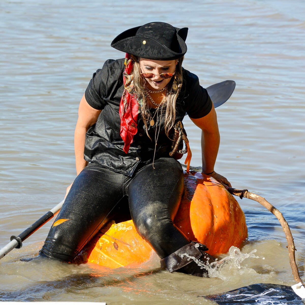 Sarah Williams, dressed head-to-toe in black pirate attire, attempts to balance on a giant pumpkin in the Thames River west of Chatham. Photo: Diana Martin