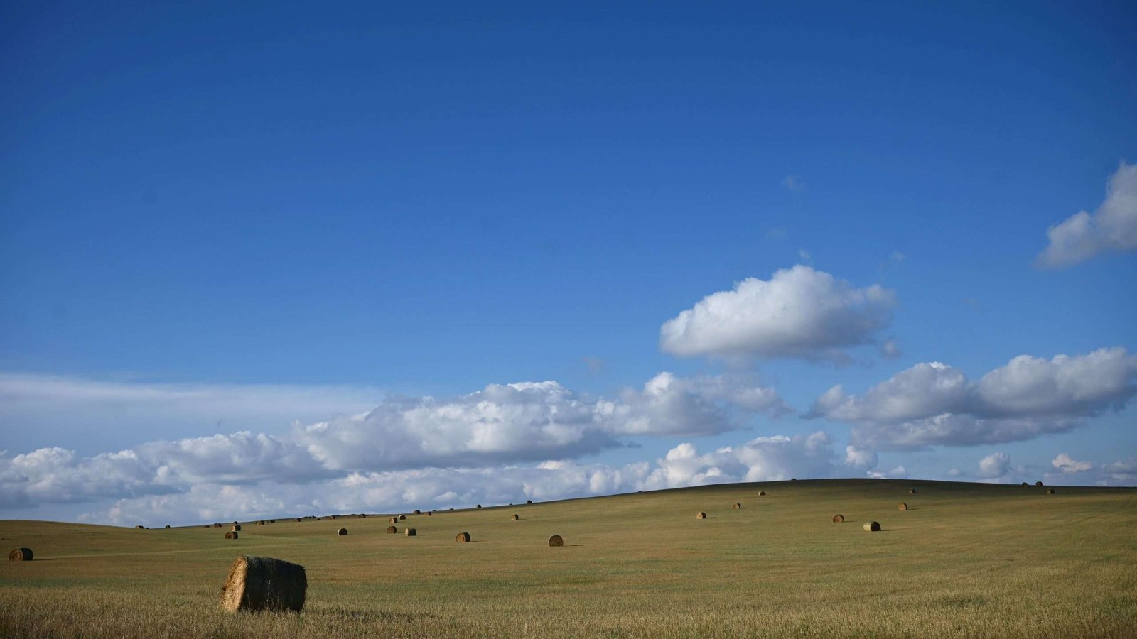 View of blue sky and a field dotted with bales of hay