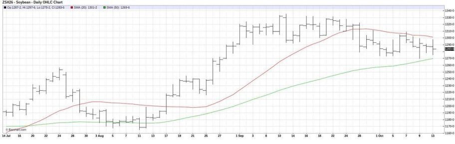 November 2026 Chicago soybean futures. 