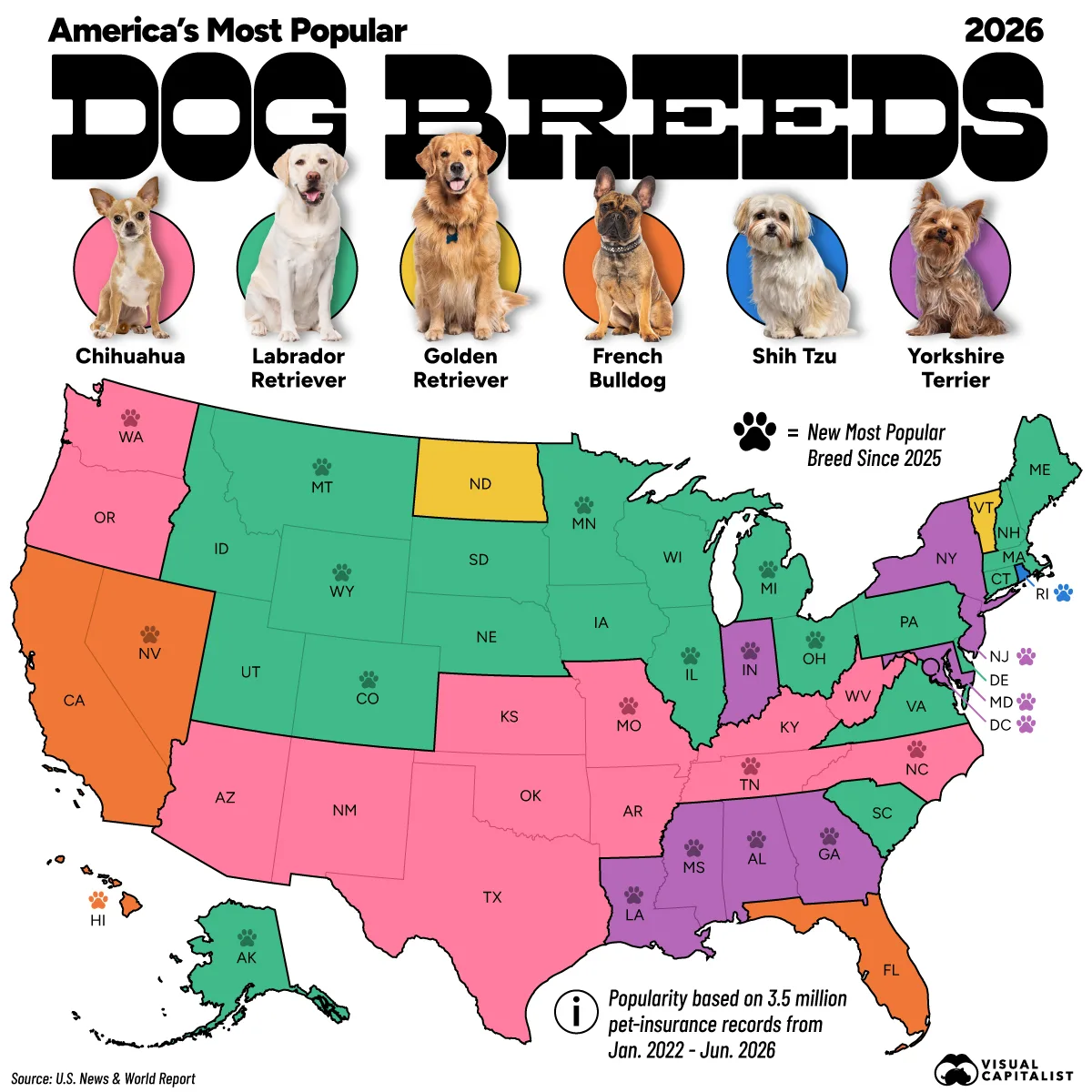 A map of the United States showing the most popular dog breed in each state in 2026, colored by breed, with paw prints marking states whose top breed changed since 2025.