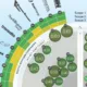 The preview image for a radar matrix graphic showing which U.S. utilities are most decarbonized and transparent in 2026.