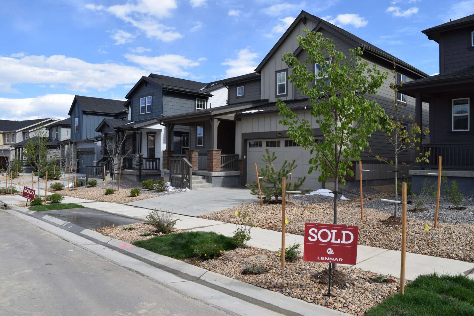 A suburban street of homes