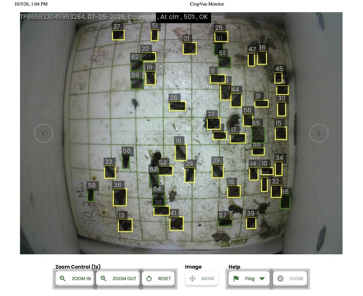 CropVue's insects identified by its algorithm. Photo: Courtesy CropVue