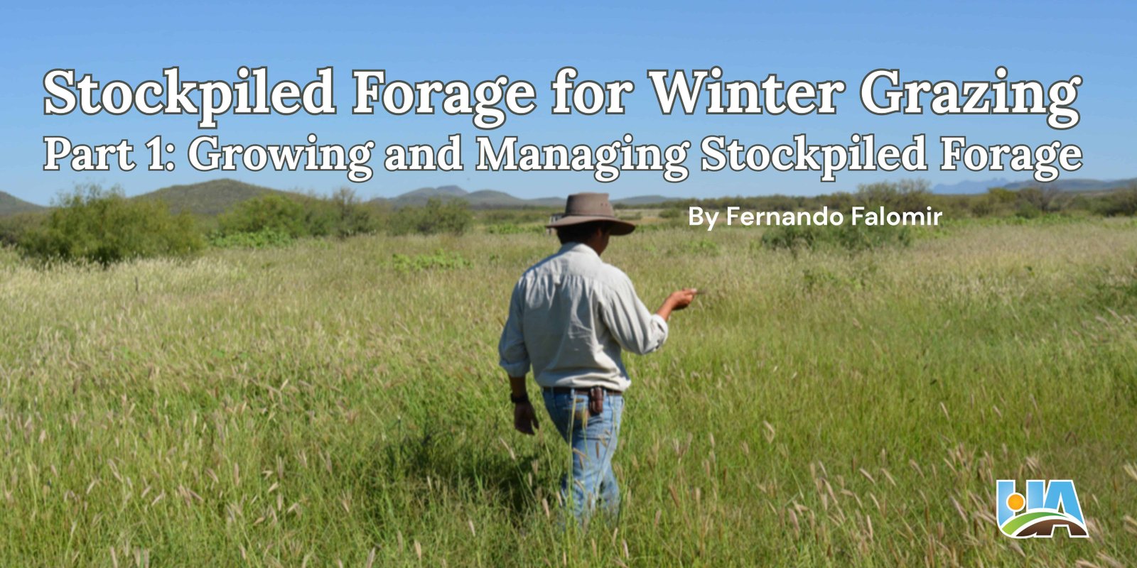 Stockpiled Forage for Winter Grazing, Part 1