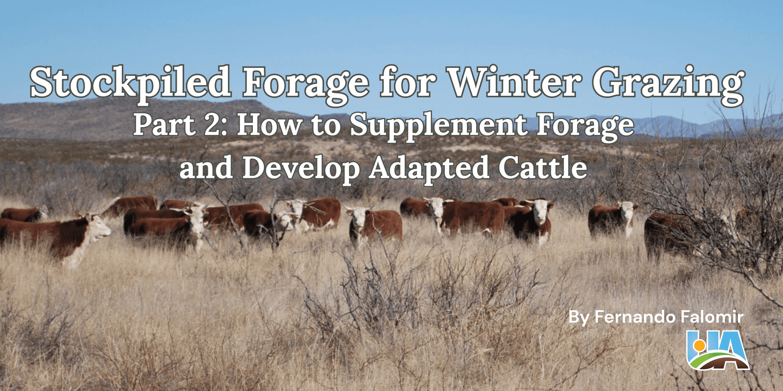 Stockpiled Forage for Winter Grazing, Part 2 (1)