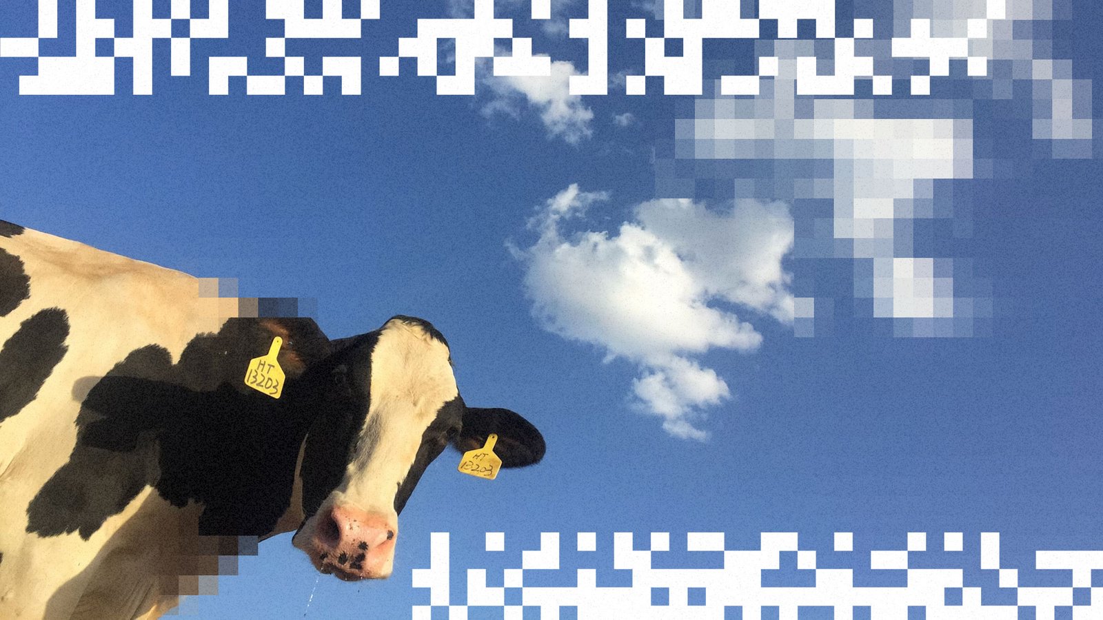 black and white cow against blue sky with clouds with white pixel graphics