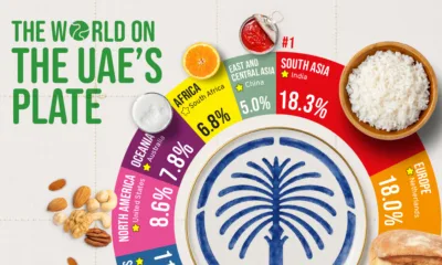The preview image for a donut chart showing the sources of imports of key food groups in the UAE.