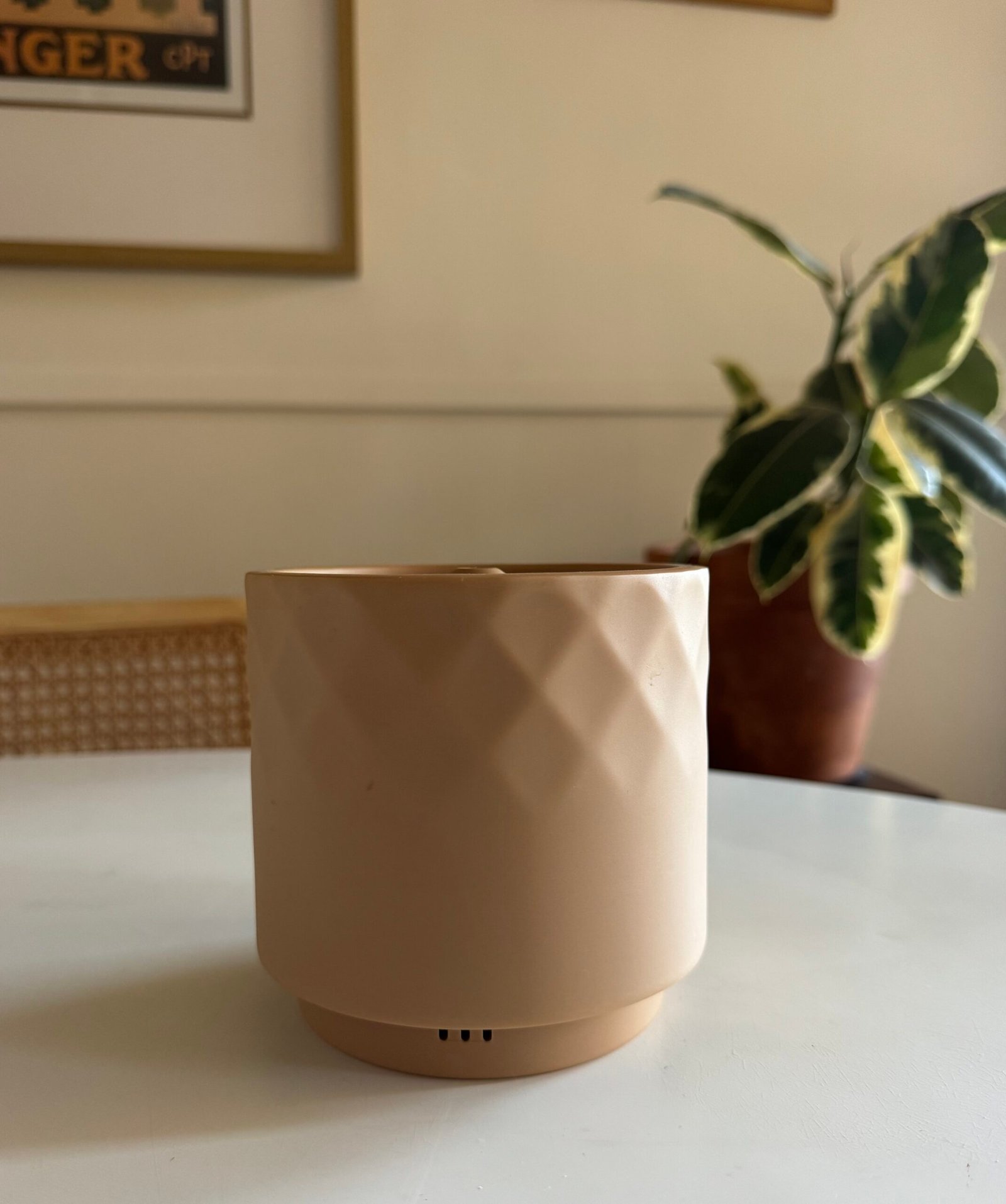 Beige, textured cylindrical container on a white surface, with a leafy potted plant and framed wall art in the background.